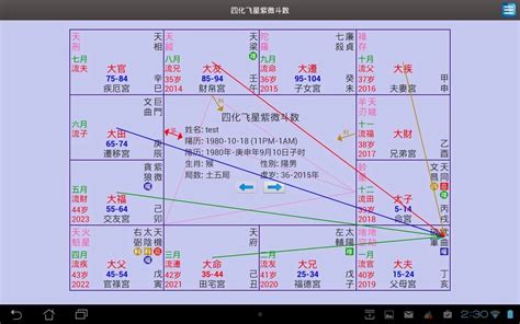 飛星 怎麼看|紫微斗数飞星怎么看